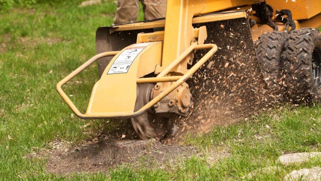 Stump Removal