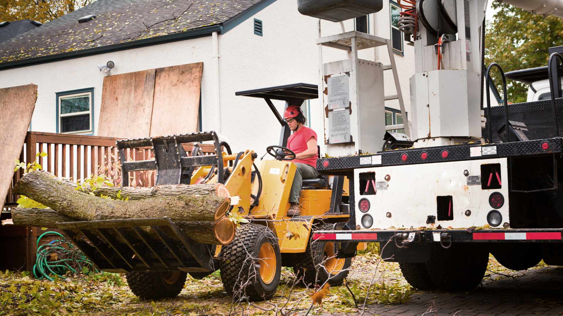 Tree Removal Rotorua